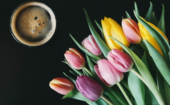 Coffee and tulips; Java and Spring,you see!